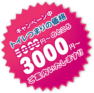 ただいまキャンペーン中!!トイレのつまりの通常価格5000円からのところ･･･3000円でご案内いたします!!